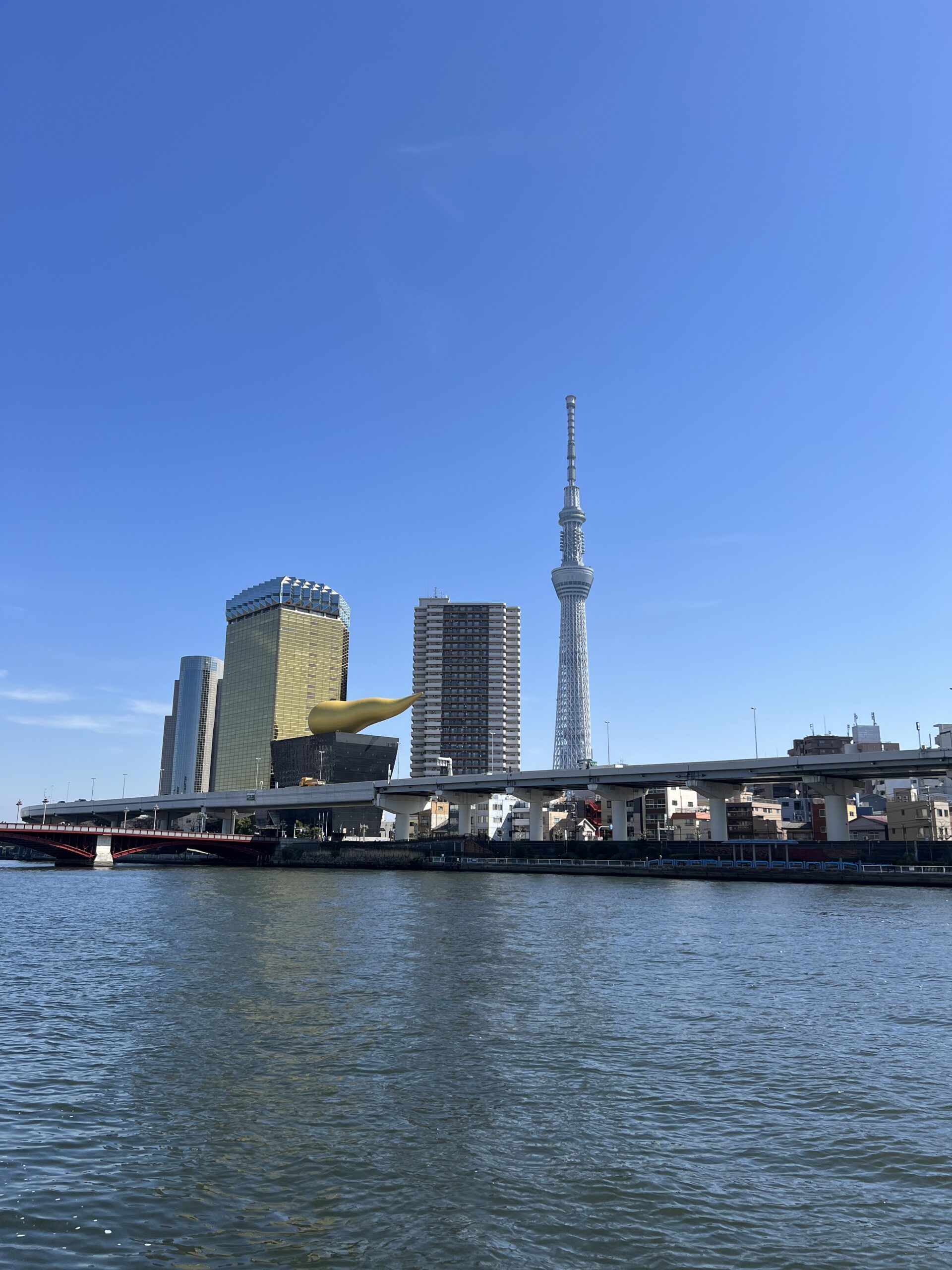 view from Sumida river