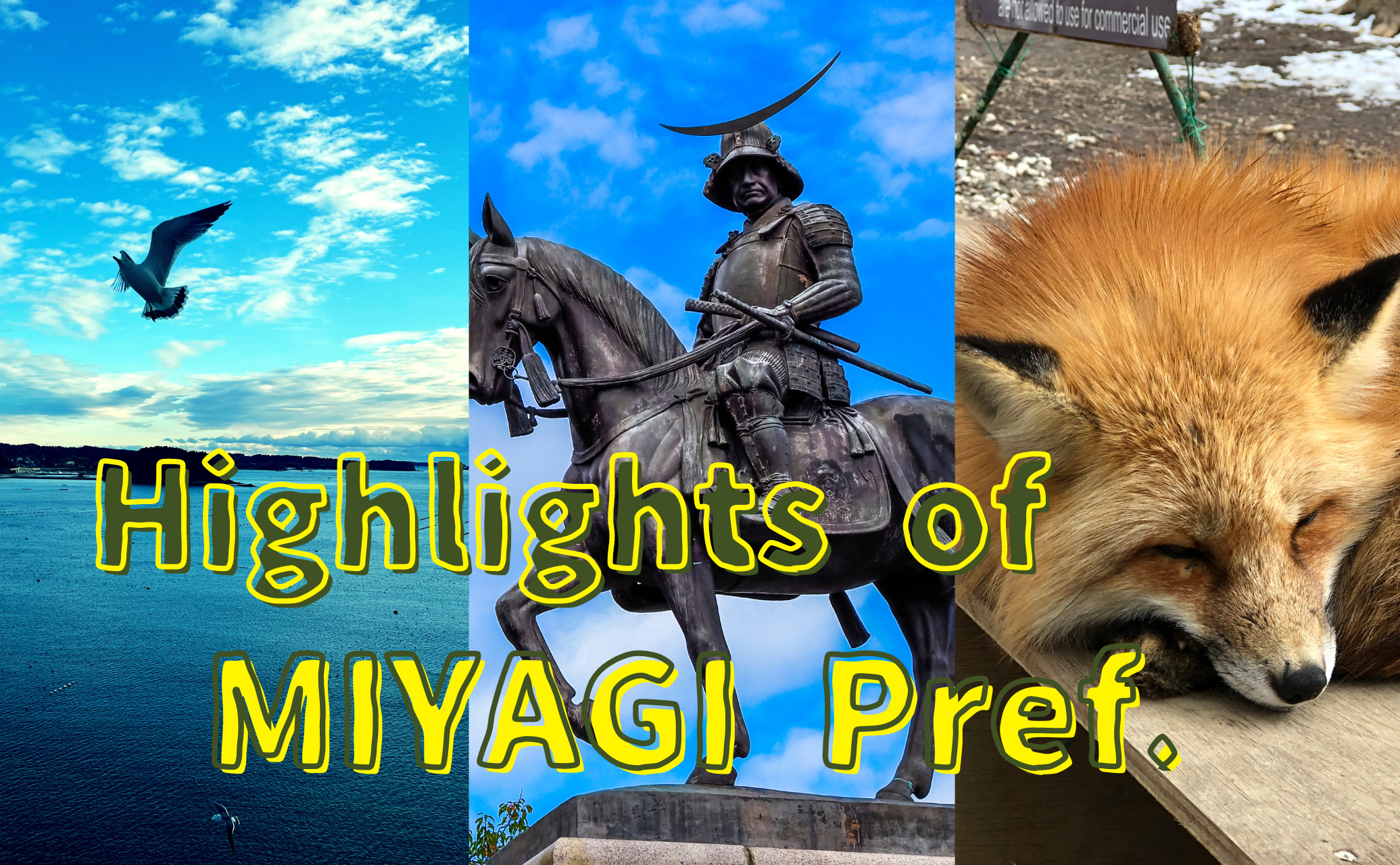 highlights of miyagi prefecture