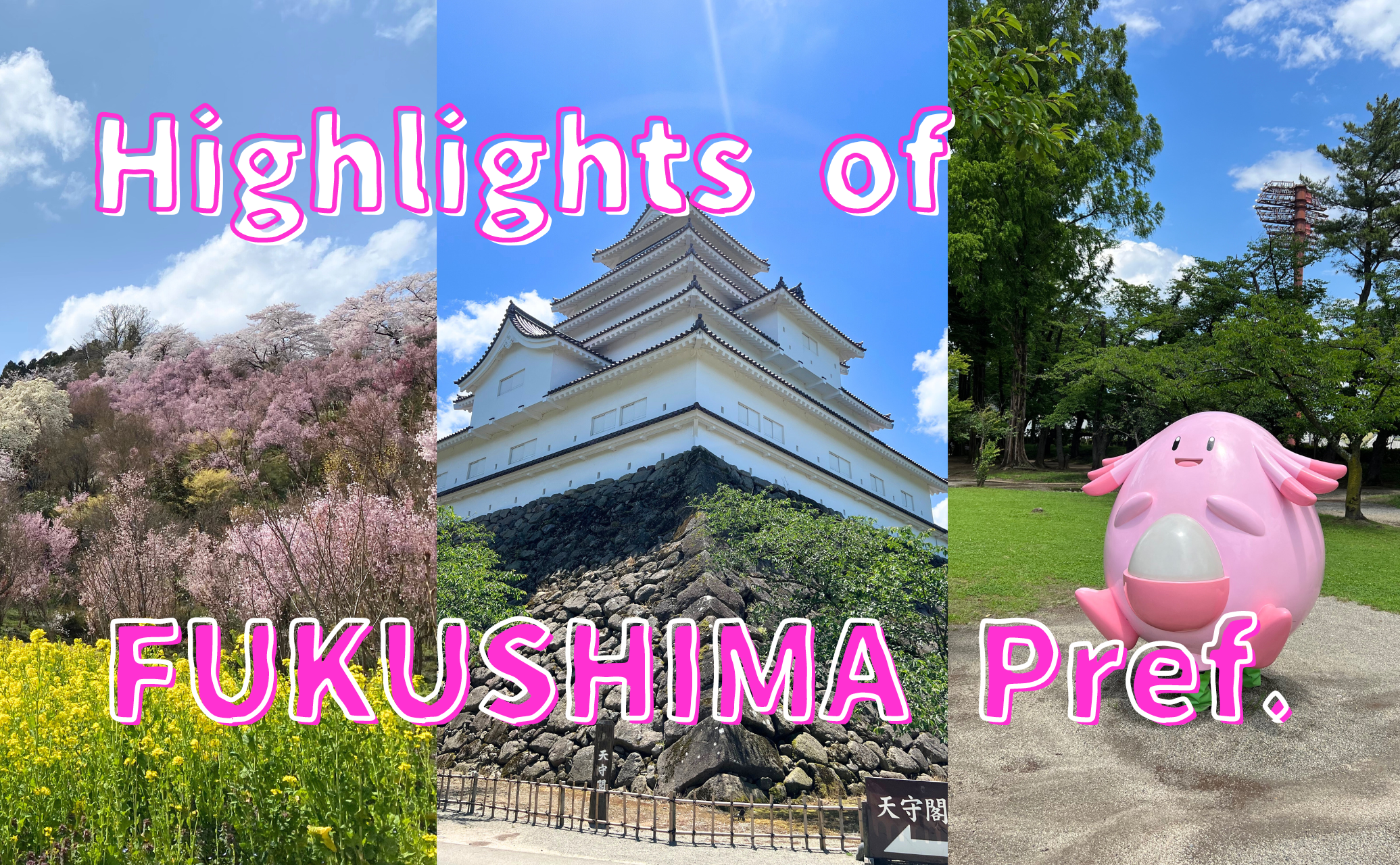 Highlights of fukushima
