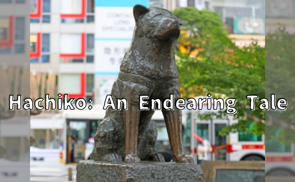 Hachiko: An Endearing Tale - Japan Sprinkles