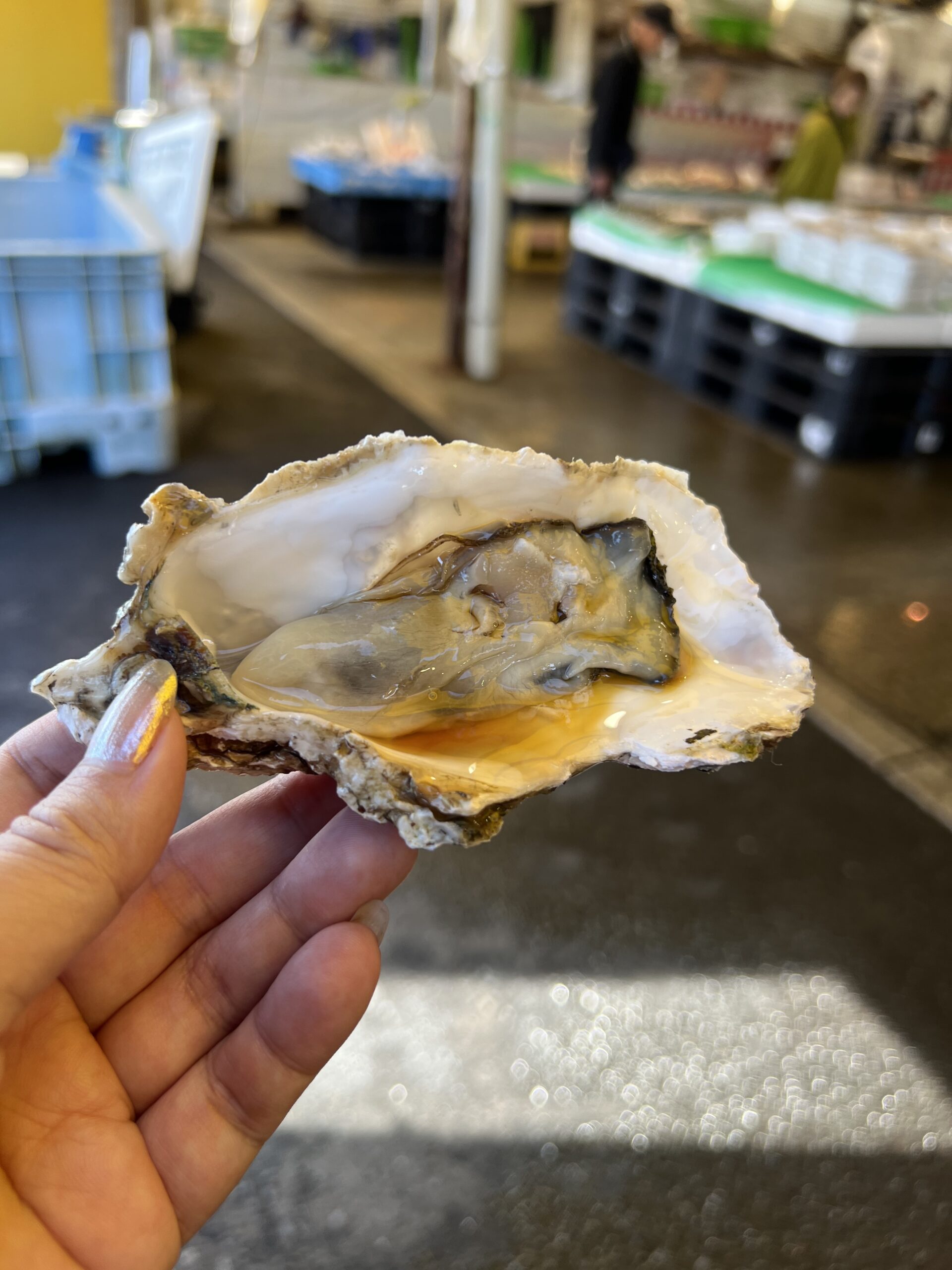oyster in nakaminato fish market