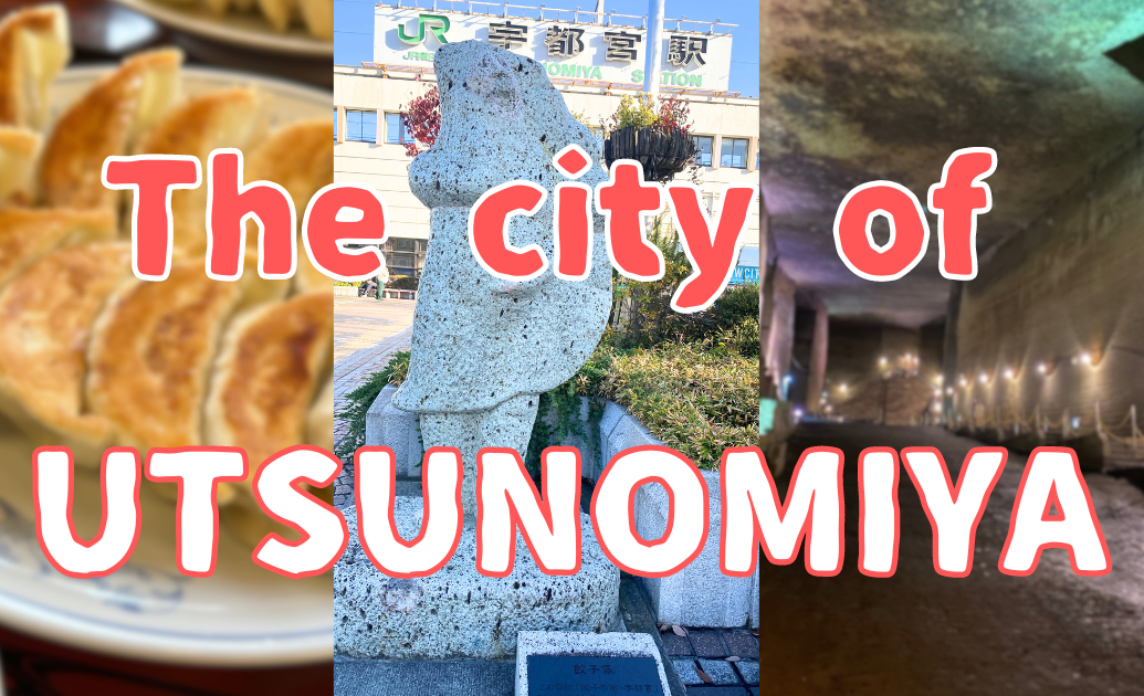 The city of Utsunomiya