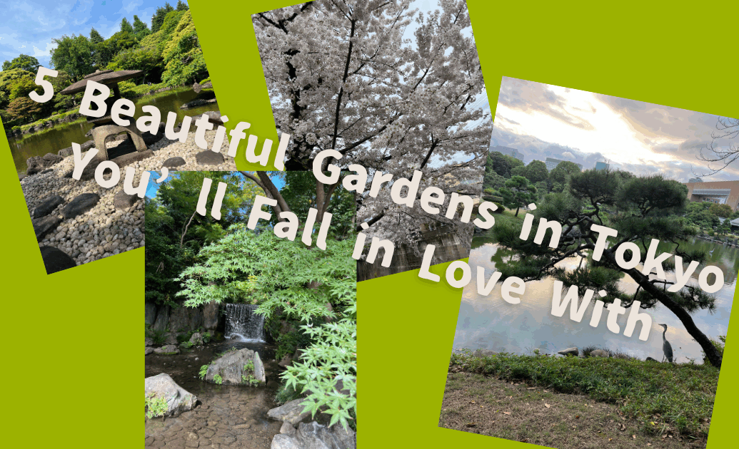 5 Beautiful Gardens in Tokyo You’ll Fall in Love With