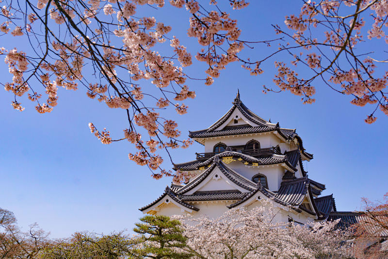 hikone castle