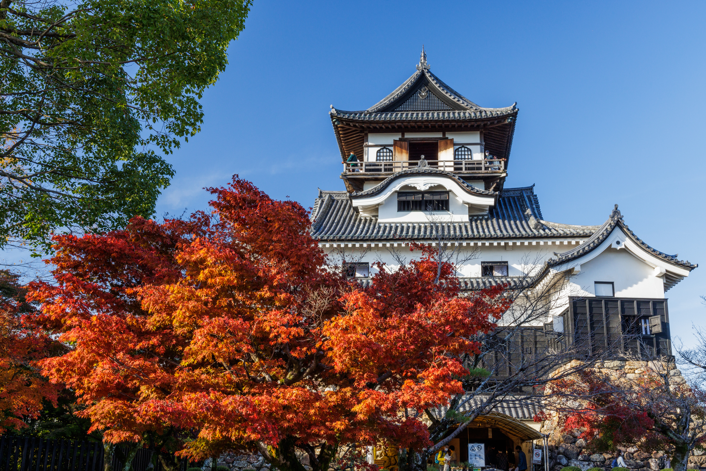 inuyama castle
