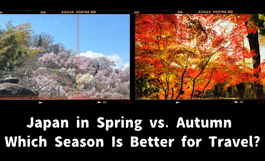 Japan in Spring vs. Autumn Which Season Is Better for Travel